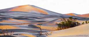 Mesquite Dunes 2-9842